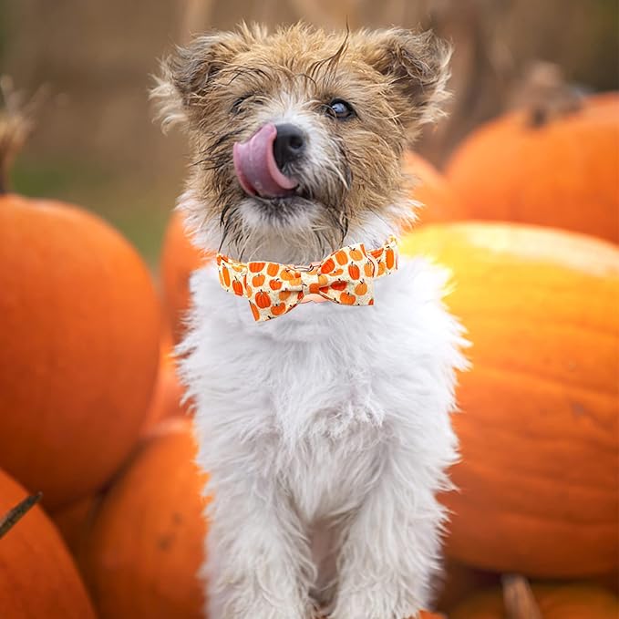 Dog Collar - Halloween Pumpkin Bowtie Dog Collars Gift Soft Bow Collar Pet Adjustable Metal Buckle Pet Collar for Small Dogs