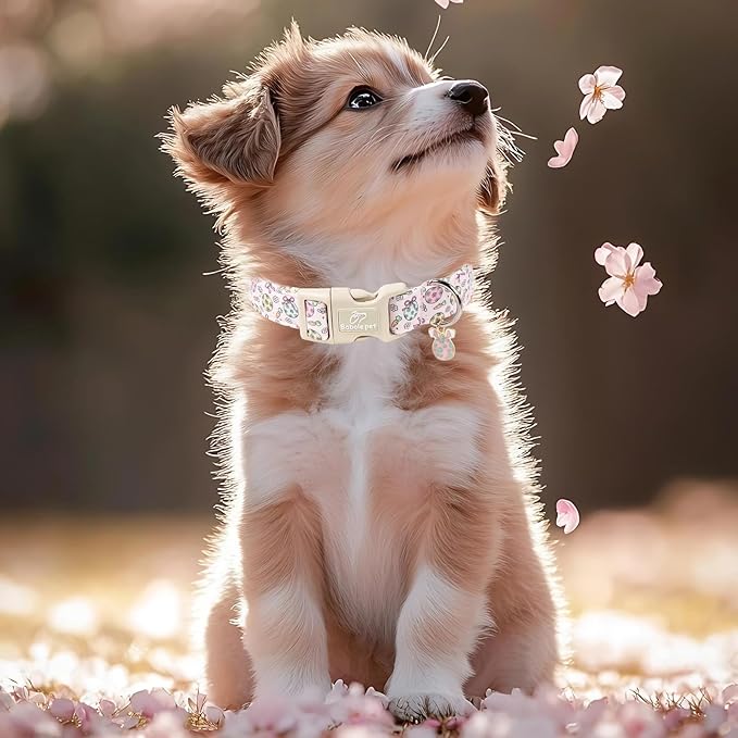 Easter Dog Collar for Large Dogs - Easter Egg Pastel Dog Collars, Cute Girl Dogs Collar, Lightweight Adjustable Pink Spring Holiaday Dog Collars with Quick Release Buckle L