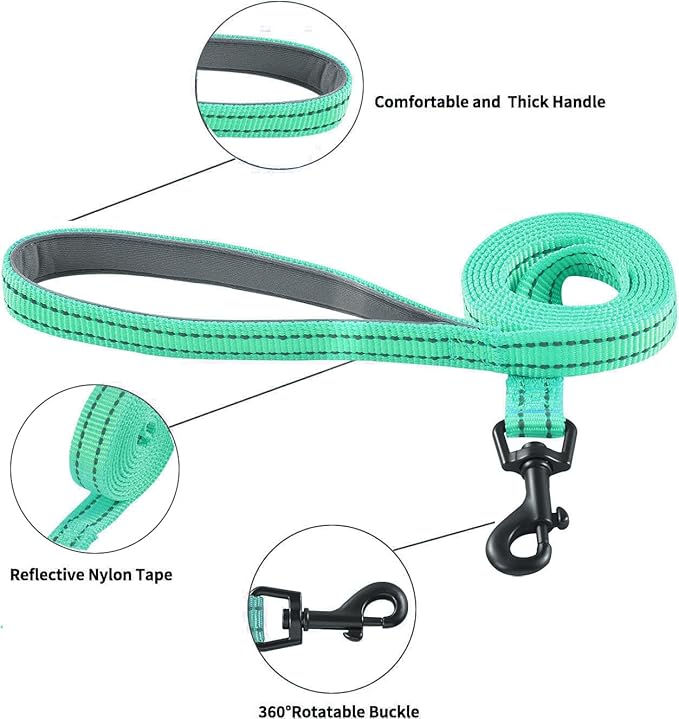 Hipubby Dog Harness and Leash Set, No Pull Soft Mesh Puppy Harness for Small Medium Dogs, Cats - Step in Reflective Breathable Lightweight Vest Harness for Walking, Training - Green, XXS