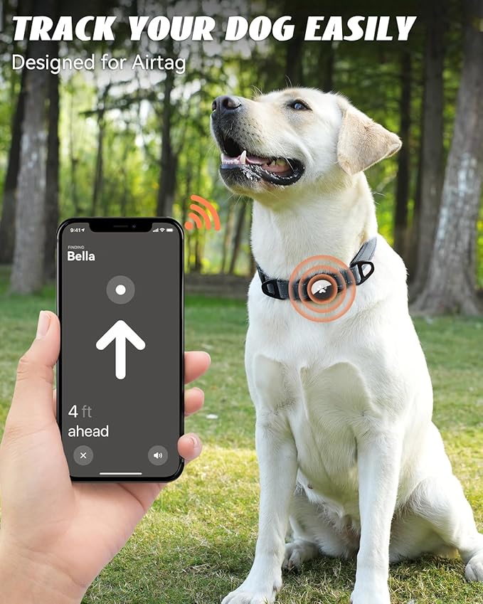 Joytale Airtag Dog Collar, Reflective Pet Collar with Waterproof AirTag Holder, Dual D-Rings, Soft Padded Adjustable for Medium Dogs, Gray, M