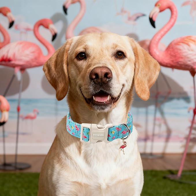 DOGWONG Spring Summer Dog Collar-Cute Flamingo Dog Collar, Adjustable Soft Beach Hawaiian Dogs Collars for Small Medium Dogs, XS
