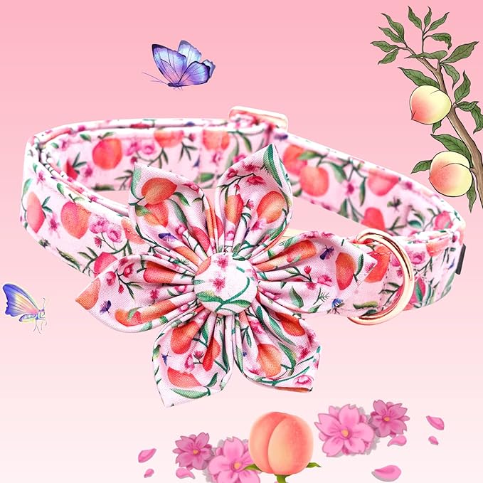 Lionheart Glory Pink Peach Flower Dog Collar - Soft, Durable, Adjustable for Medium Dogs