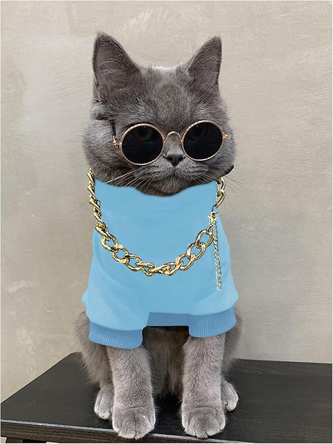 QWINEE 3Pcs Dog Hoodie Cat Apparel Dog Custume Set with Necklace and Sunglasses Pet Clothes for Puppy Small Medium Dogs Cats Light Blue X-Small