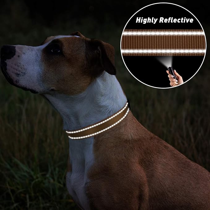 TagME Reflective Nylon Dog Collars, Adjustable Classic Collar with Quick Release Buckle for Medium Dogs, Khaki, 1.0" Width