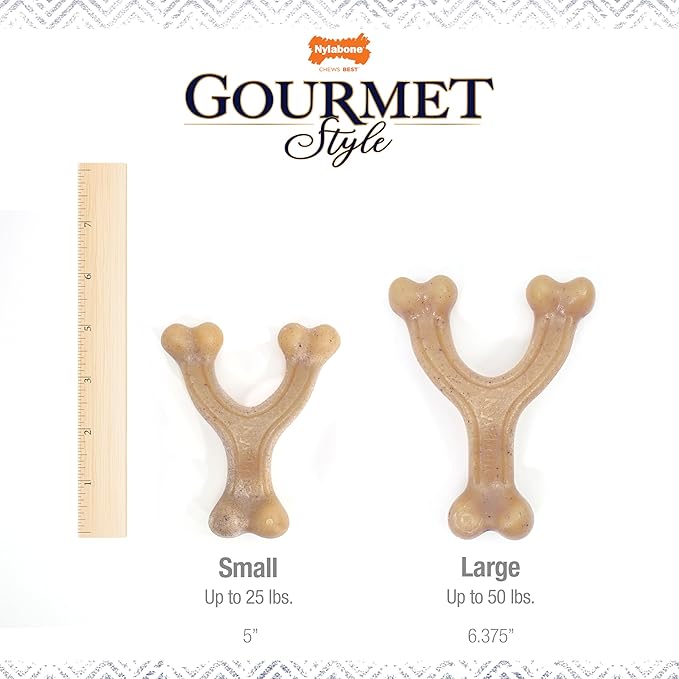 Nylabone Gourmet Style Wishbone Strong Chew Toy for Dogs, Chicken Flavor, Small - Up to 25 lbs, 1 Count