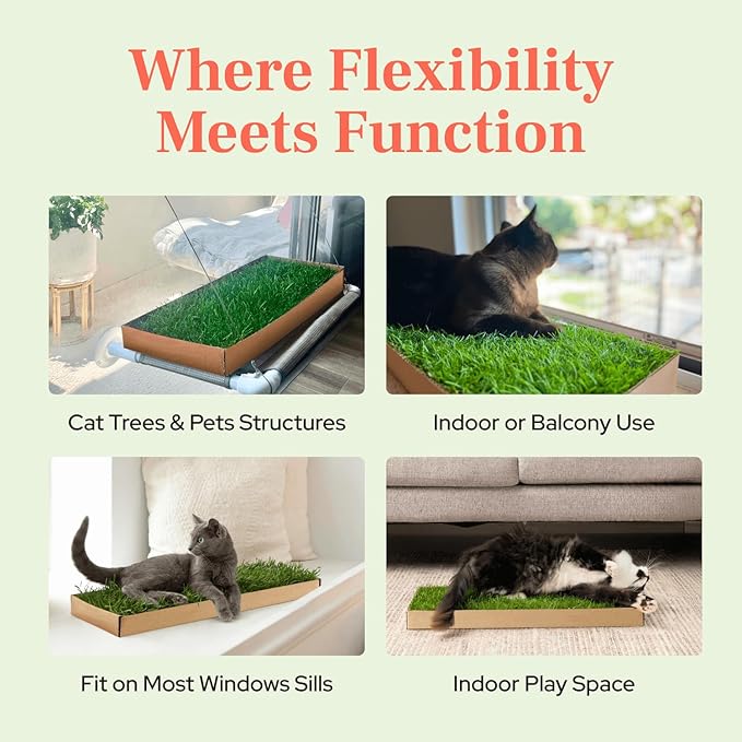 Kitty Lawn Real Grass Cat Window Perch - Natural Indoor Lounger for Large & Small Cats - California Grass - 24x9 Inch - USA Grown