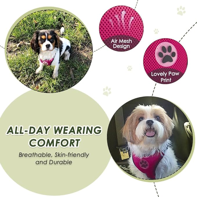 SlowTon Dog Seat Belt Harness for Car, Dog Car Harness Adjustable Mesh Breathable & Dog Seatbelt Safety Tether with Elastic Bungee for Small Medium Large Pets(Fuchsia, Double Clip, M)