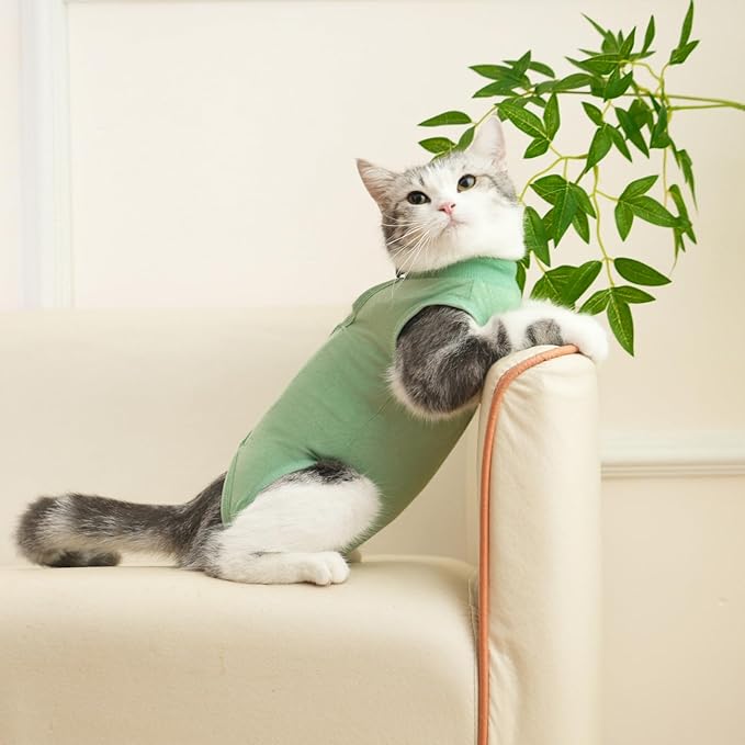 Cat Recovery Suit Cat Onesie for Cats After Surgery Female Male Spay Kitten Neuter Surgical Bodysuit Post Surgery Cone of Shame Alternative Anti Licking (Green, Small)