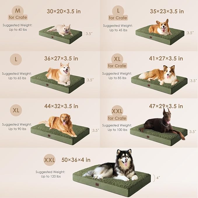 EHEYCIGA Orthopedic XXL Dog Beds for Jumbo Dogs with Removable Washable Cover,Dark Green, 50x36