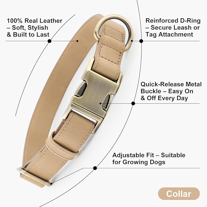 Plutus Pet Genuine Leather Dog Collar – Adjustable Pet Collar with Quick Release Metal Buckle, Soft Real Leather for Small Medium Large Dogs, Heavy Duty & Skin-Friendly (Beige, XS)