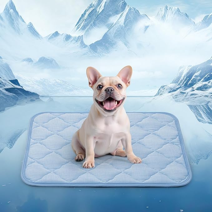 LOOBANI Dog Cooling Mat for Summer - 28" x 22" Self-Pet Cooling Pad for Small Medium Dog with Anti-Slip Bottom, Reusable Cool Mat for Dogs, Cats, Indoor & Outdoor Use, Couch, Bed, Kennels and Floor