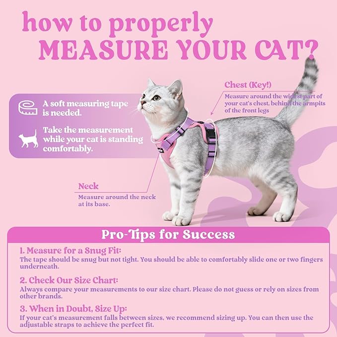 rabbitgoo Cat Harness and Leash for Walking, Escape Proof Soft Adjustable Vest Harnesses for Cats, Easy Control Breathable Reflective Strips Jacket, Pink & Purple, M