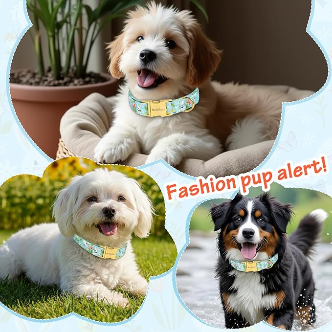 Easter Dog Collar for Medium Dogs, Easter & Spring Theme Medium Dog Collar with Cute White Bunny Pattern, Adjustable Blue Easter Dog Collars Girl Boy Collar for Dogs -M