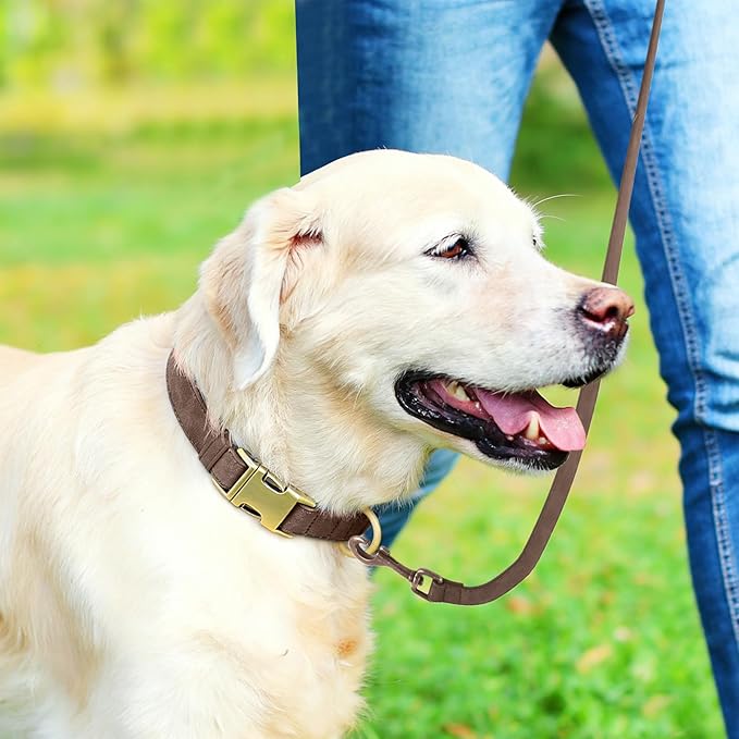 Genuine Leather Dog Collar - Adjustable Pet Collar with Quick Release Metal Buckle, Soft Skin Friendly Real Leather Collar for Small, Medium, Large Dogs (Dark Brown Collar + Rope, L：Fit 15-23" Neck)
