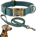 Dog Collar and Leash Set,Leather Silicone Waterproof Odor-Proof Dog Collar and Leash for Medium Dogs, Soft Flexible Dog Collars, Durable Thick Adjustable Pet Collar (Green, Medium (11.5-18.5 "Neck))