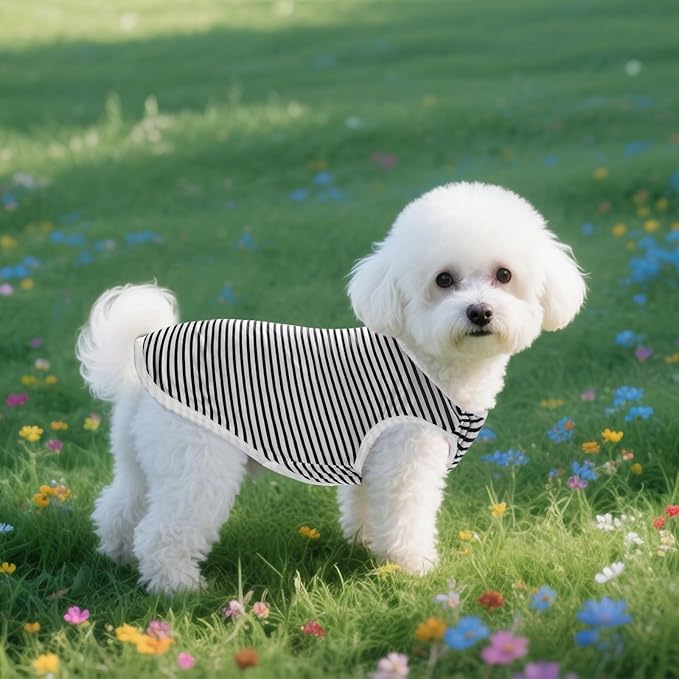 3 Pcs Cat Shirts Solid Color Dog Clothes Summer Sleeveless Stripe Pet T Shirts for Small Pet Dogs Cats (Black, Small)