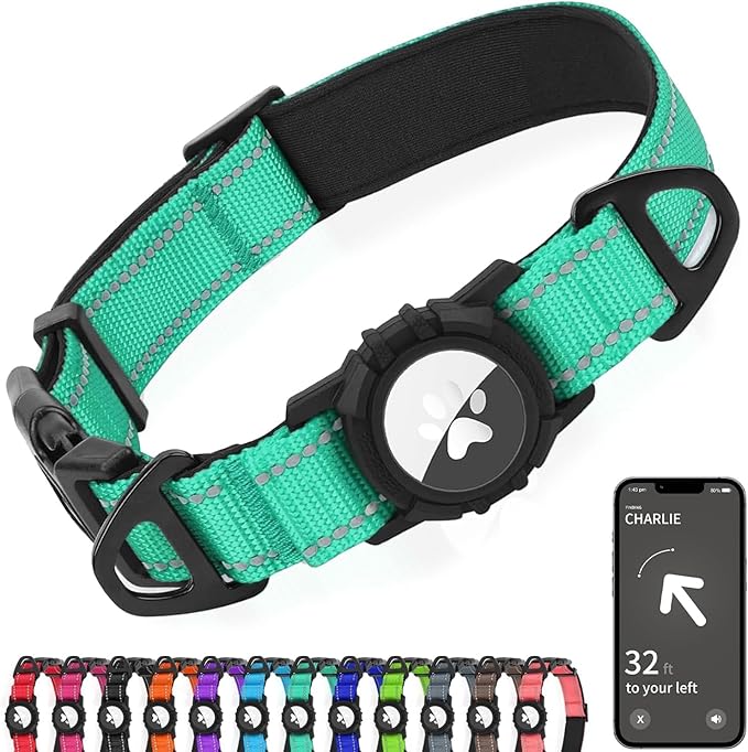 Joytale Airtag Dog Collar, Reflective Pet Collar with Waterproof AirTag Holder, Dual D-Rings, Soft Padded Adjustable for Extra Small and Puppy Dogs, Teal, XS
