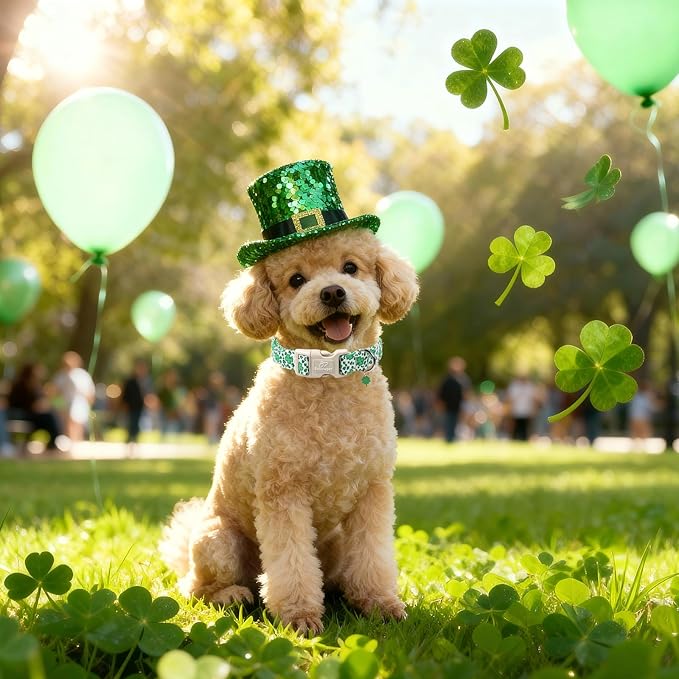 St Patricks Day Dog Collar for Small Dogs - Leopard Lucky Clover Dog Collars, Lightweight Adjustable Irish Green Festival Shamrock Dogs Collars with Quick Release Buckle S