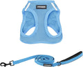 Best Pet Supplies Voyager Step-in Air All Weather Mesh Harness and Reflective Dog 5 ft Leash Combo with Neoprene Handle, for Small, Medium and Large Breed Puppies - Set (Baby Blue), L