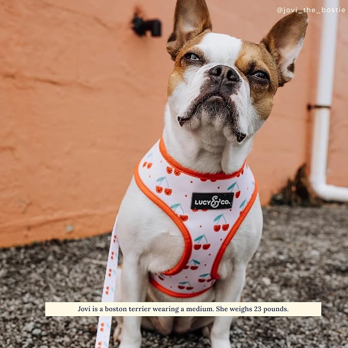 Lucy & Co. Cheery Cherries, Cute Reversible Dog Harness Walking Halter - Best Designer Pet Harnesses for XS - XL Dogs - Padded Adjustable Vest for Easy Walking (X-Small)