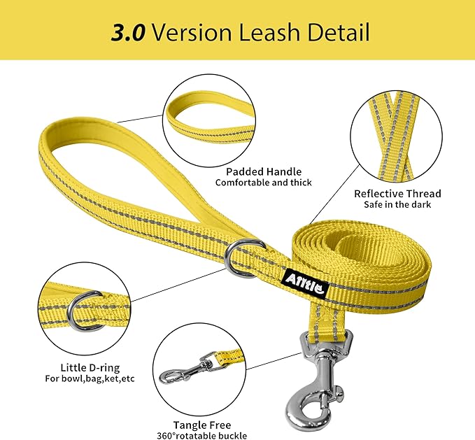 AIITLE Comfortable Dog Harness and Leash Set for Walking - Spring Step in Vest Harness,Reflective Bands, Adjustable No Pull Puppy Essentials, for Small Dogs and House Cats Yellow XS