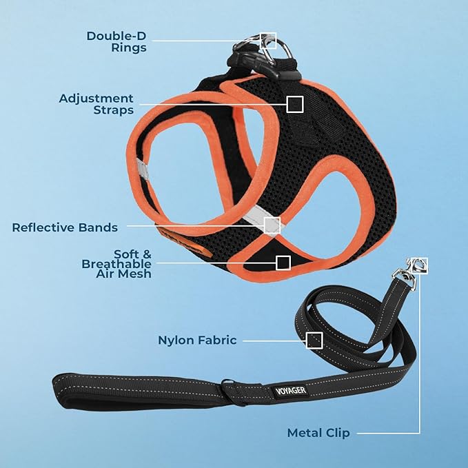 Best Pet Supplies Voyager Step-in Air All Weather Mesh Harness and Reflective Dog 5 ft Leash Combo with Neoprene Handle, for Small, Medium and Large Breed Puppies - Black/Orange Trim, X-Small