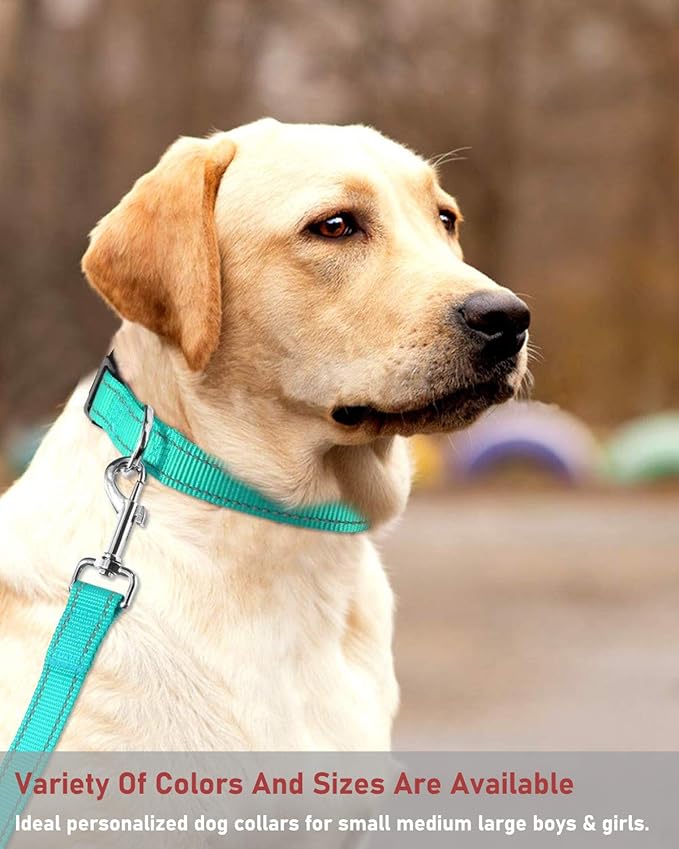Reflective Dog Collar with Buckle Adjustable Safety Nylon Collars for Small Medium Large Dogs, Teal XS
