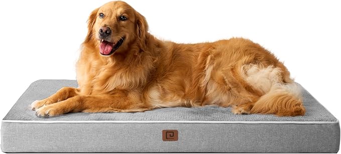 EHEYCIGA Waterproof Dog Bed Orthopedic 41"x27", Memory Foam Pet Bed for XLarged Dogs, Washable Pet Mat with Removable Cover, Grey