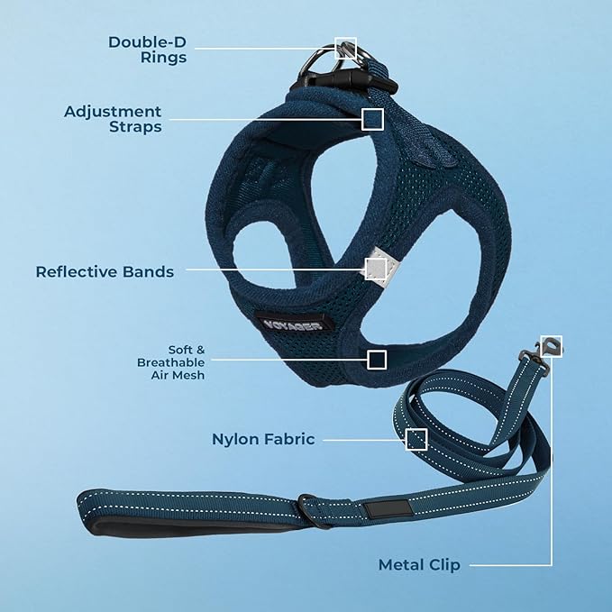 Best Pet Supplies Voyager Step-in Air All Weather Mesh Harness and Reflective Dog 5 ft Leash Combo with Neoprene Handle, for Small, Medium and Large Breed Puppies - Harness Leash Set (Blue), L