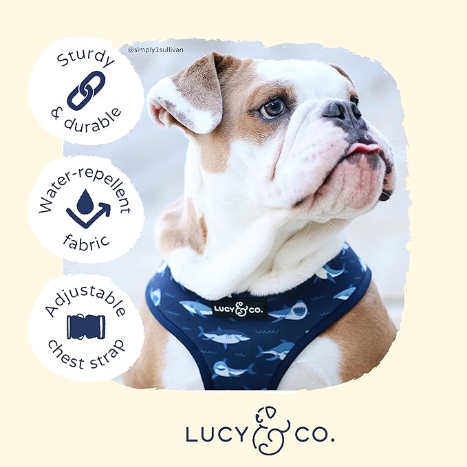 Lucy & Co. Reversible Dog Harness Walking Halter - Harnesses for Small Medium Large XL Dogs - Padded Adjustable - for German Shepherd, Pug, French Bulldog, English Bulldog (X-Small, Shark Attack)