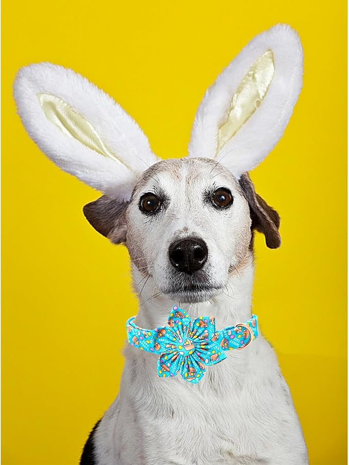 Lionheart glory Easter Day Dog Collar with Flower Dog Collar for Small Dogs, Easter Egg Dogs Collars Colorful Spring Collars Flowers Puppy