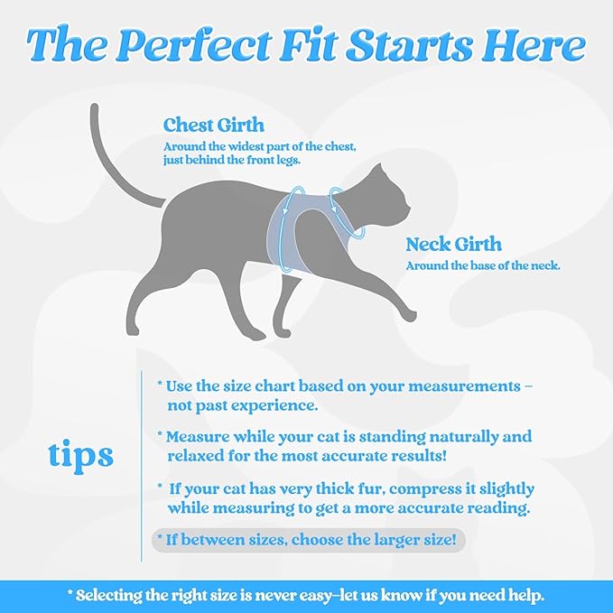 rabbitgoo Cat Harness and Leash Set for Walking Escape Proof, Adjustable Soft Kittens Vest with Reflective Strip for Cats, Comfortable Outdoor Vest, Light Blue, S