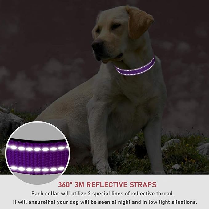 Reflective Dog Collar with Buckle Adjustable Safety Nylon Collars for Small Medium Large Dogs, Purple XXS