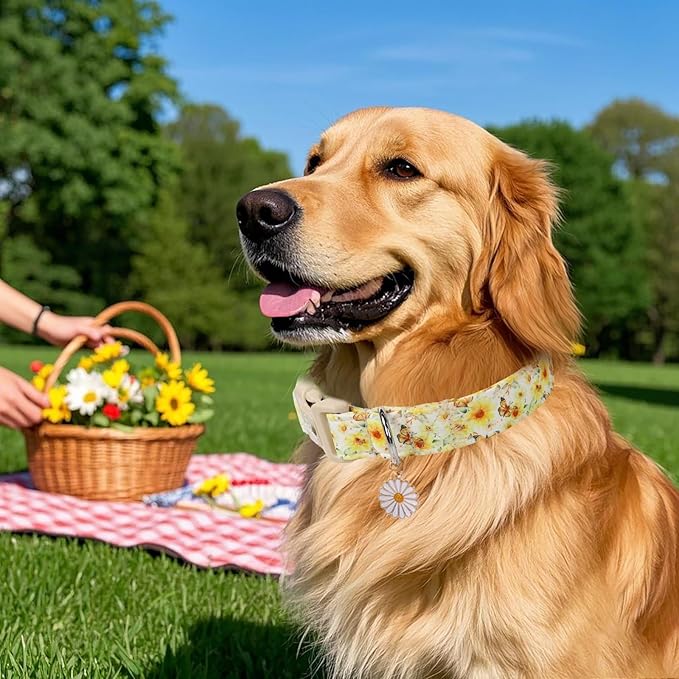 Adjustable Floral Dog Collar, Yellow Sunflower&Butterfly Dog Collars for Giant Large Dogs, Lightweight Quick-Release Buckle Collar for Boy&Girl Dogs XL