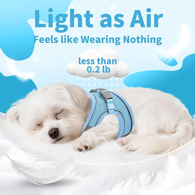 AIITLE Small Harness for Puppy with A Leash - Dog Vest Harness with Super Breathable Mesh, Reflective No-Pull Pet Harness for Outdoor Walking, Running for Small Dogs, Cats Pure Blue XXS
