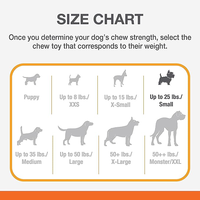 Nylabone Flex Moderate Chew Dog Toy Chicken Small/Regular (1 Count) (Pack of 4)