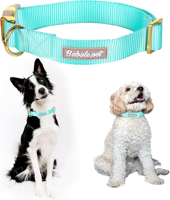 Nylon Dog Collar - Adjustable Lake Blue Soft Webbing Dog Collars for Small Medium Large Dogs Boy Girl Puppy Collar with Safety Metal Buckle XS