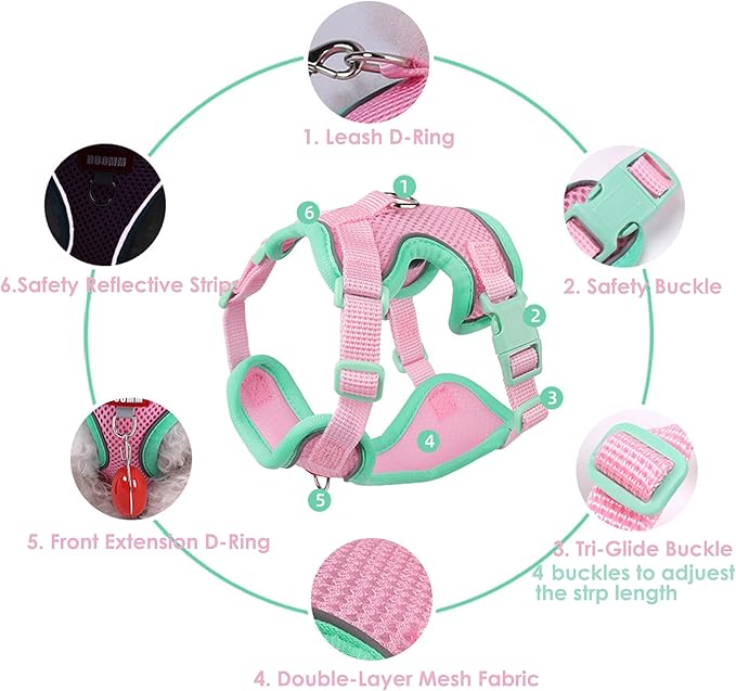 Cat Harness and Leash Set for Walking – Escape-Proof Reflective Vest for Cats and Small Dogs, Adjustable Soft Air Mesh with Pressure-Reducing Design, 4.92ft (Blue & Purple, M)
