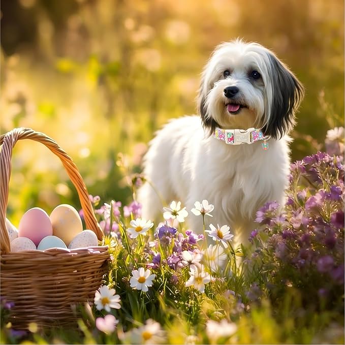 Easter Dog Collar for Giant Large Dogs - Colorful Bunny Print Easter Collar for Male Female Dogs, Lightweight Adjustable Spring Holiaday Dog Collars with Quick Release Buckle XL