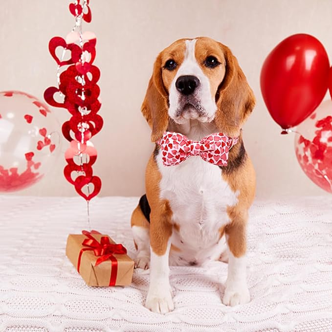 Lionheart Glory Dog Bow Collar with Hearts & Bows for Medium Dogs