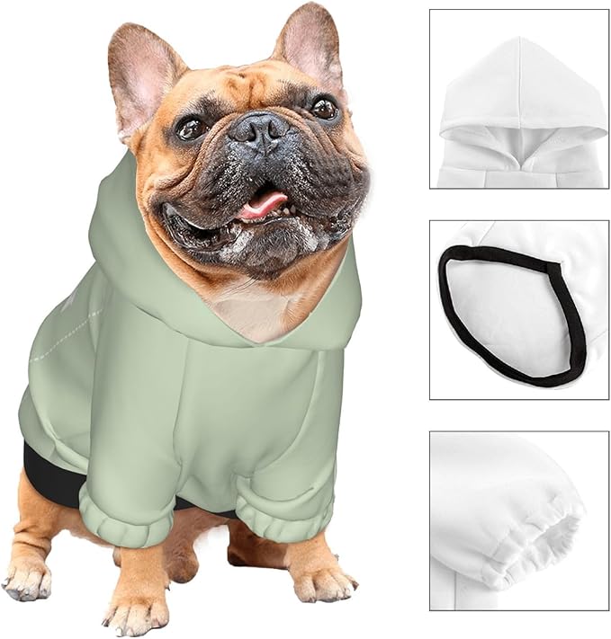 Personalized Chihuahua Dog Hoodie, Custom Pet Warm Sweatshirt Costume with Name Number Photo, Customize ID Clothes for Pupppy Kitten Dogs Cats, LightGreen, XXS