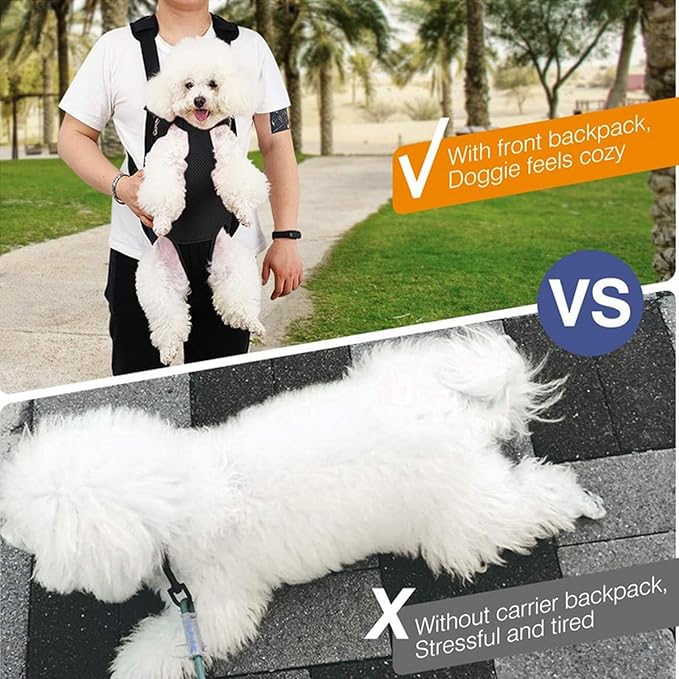Lightweight Pet Backpack Carrier for Small Dogs & Cats - Easy-Fit Adjustable Straps, Basic Legs-Out Design, Durable for Daily Use (Fits Pets Under 15lb) (Yellow-White Color-Blocked, Medium)