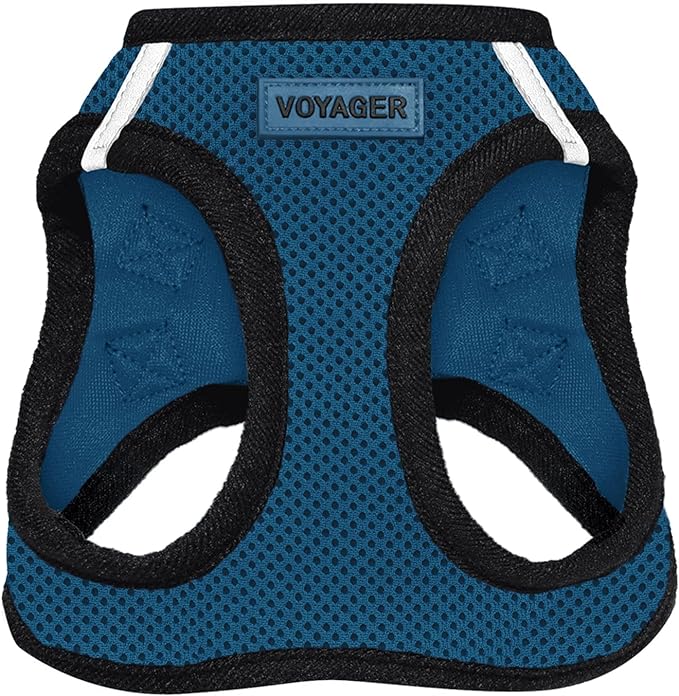 Best Pet Supplies Voyager Step-in Air Harness - All Weather Mesh, Reflective, No Pull Harness for Dogs, Cats - Secure with Hook & Loop Fastener, Buckle, Double D-Rings - Blue/Black Trim, M