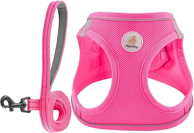 Hipubby Dog Harness and Leash Set, No Pull Soft Mesh Puppy Harness for Small Medium Dogs, Cats - Step in Reflective Breathable Lightweight Vest Harness for Walking, Training - Rose Red, XXS