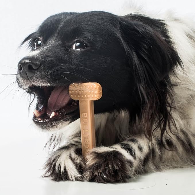 Bullibone Nylon Dog Chew Toy for Aggressive Chewers - Dental Hygiene Bone with Chicken Flavor, Durable Tough Chew Toys for Small Dogs, Indestructible Dog Bone - 3 Pack