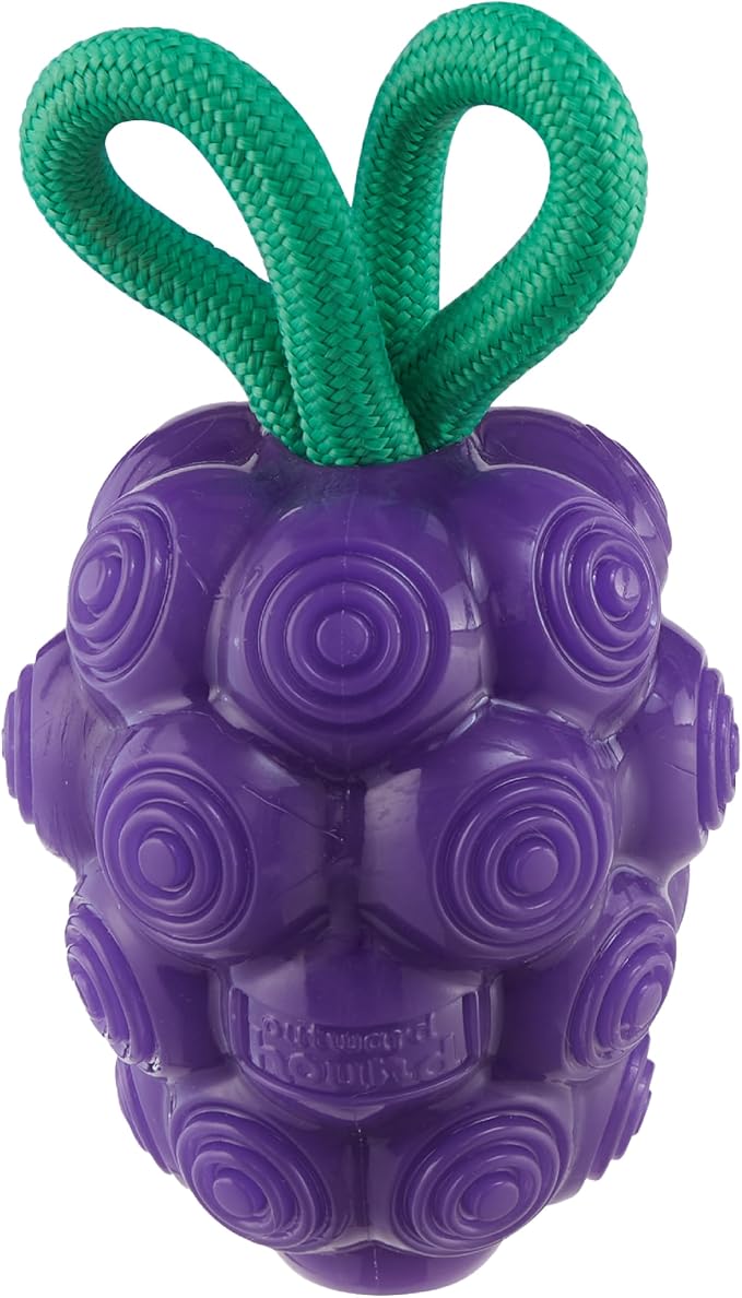 Outward Hound Dental Grapes Dog Toy & Treat Stuffer, 6″ x 3″ Grape-Scent Interactive Chew for Dogs, Helps Clean Teeth, Promote Healthy Gums & Mental Enrichment, Reduce Boredom & Support Dental Health
