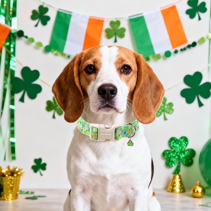 DOGWONG St. Patrick Dog Collar, Comfortable Adjustable Green Clover Pattern Dog Collar for Small Male Female Dogs,XS