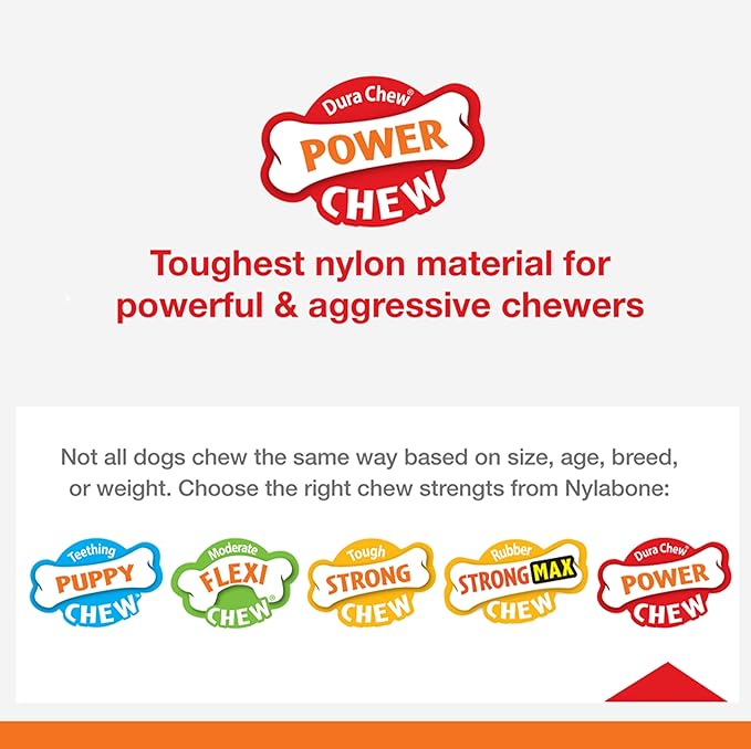 Nylabone Power Chew Ring Bone Chew Toy, Dog Toys for Aggressive Chewers, Flavor Medley, X-Small - Up to 15 lbs. (Pack of 2)