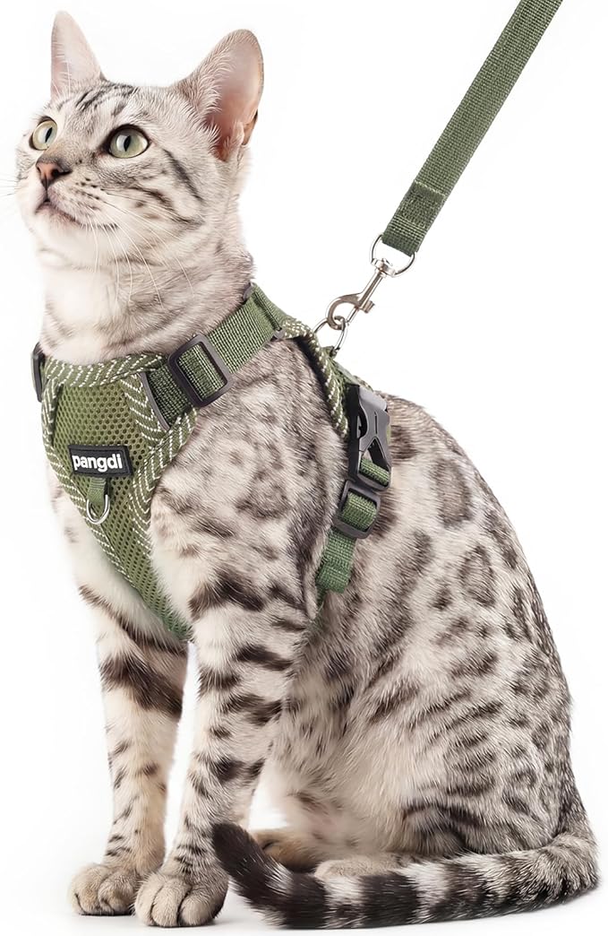 Cat Harness and Leash Escape Proof Large Kitten Harness Ragdoll Cat Vest for Walking Travel, Dark Green, L