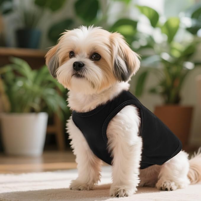 3 Pcs Cat Shirts Solid Color Dog Clothes Summer Sleeveless Stripe Pet T Shirts for Small Pet Dogs Cats (Black, Small)